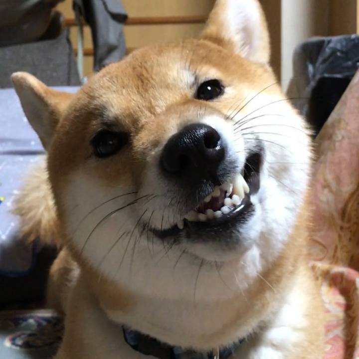 Bdd430f9 adc9 45a9 a890 cb61720888c8