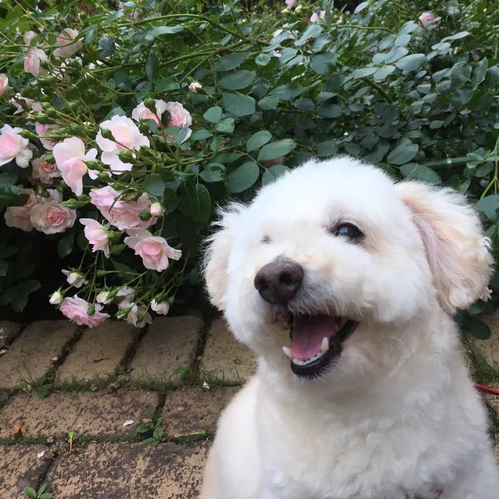 Bdd45cb1 5d44 4170 b67f 5e02574fbb18