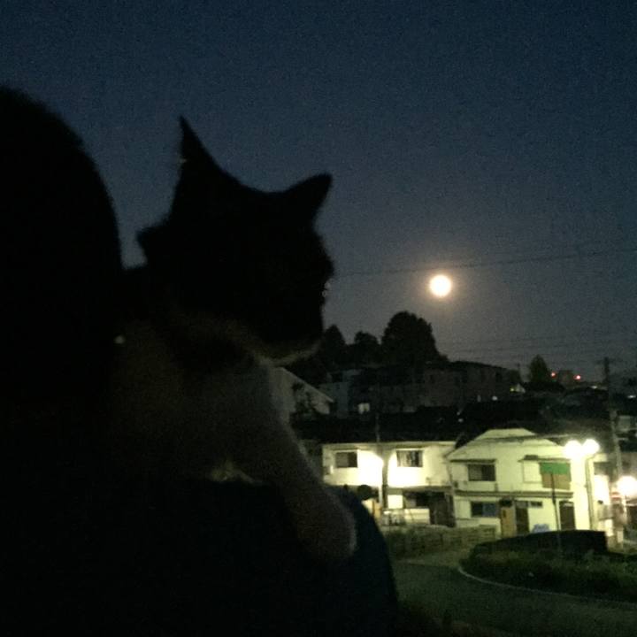 Bdd4a4ea dbaf 4e54 beb2 4853cef2014f