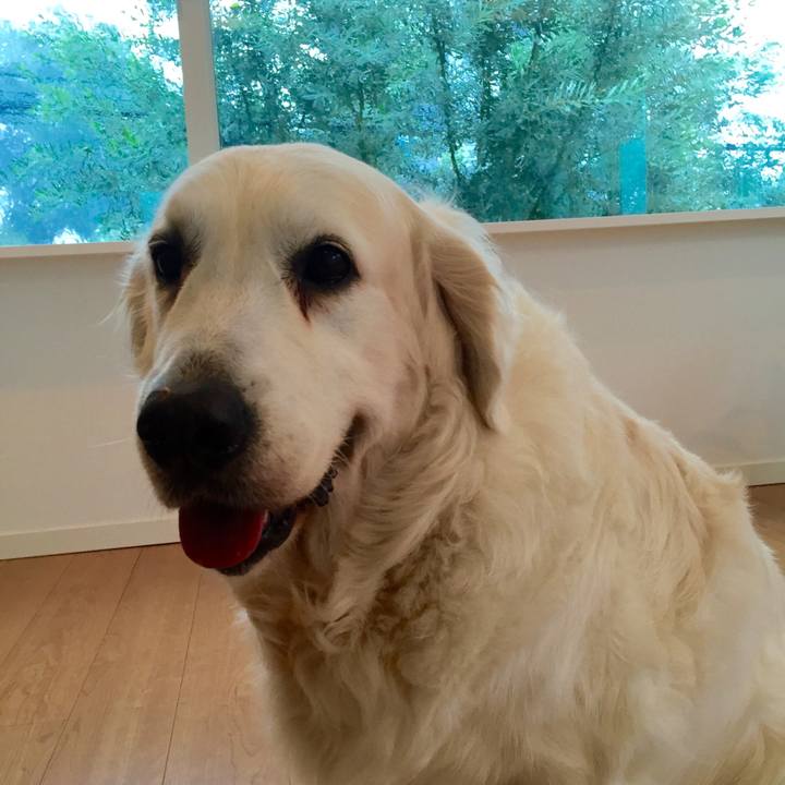 Bdd4d915 45f0 4dff 91b4 b3c4acc0b22b