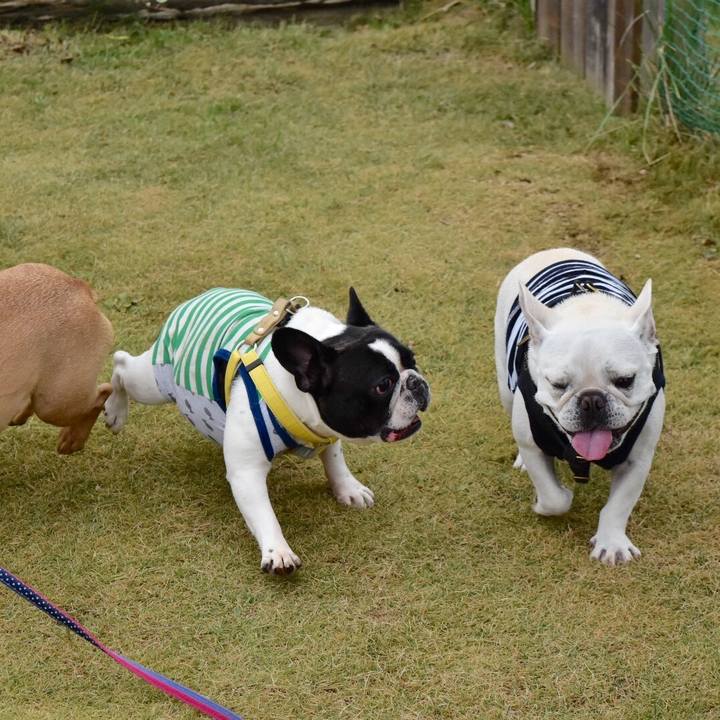 Bdd51e0a 35f8 4c20 87d4 57944d64bbdd