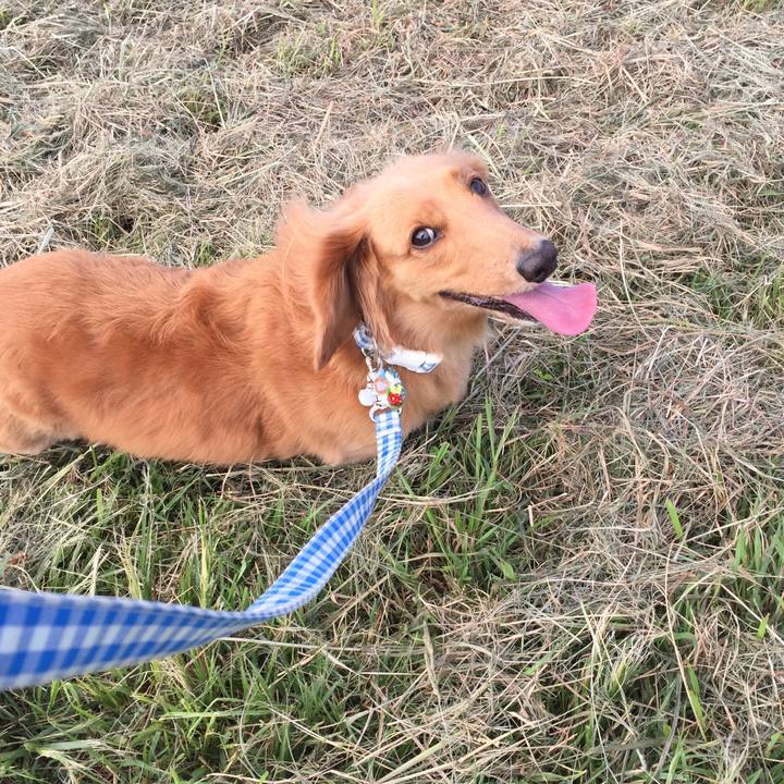 Bdd5290f dd2c 4f52 93fe efa7996b09cb