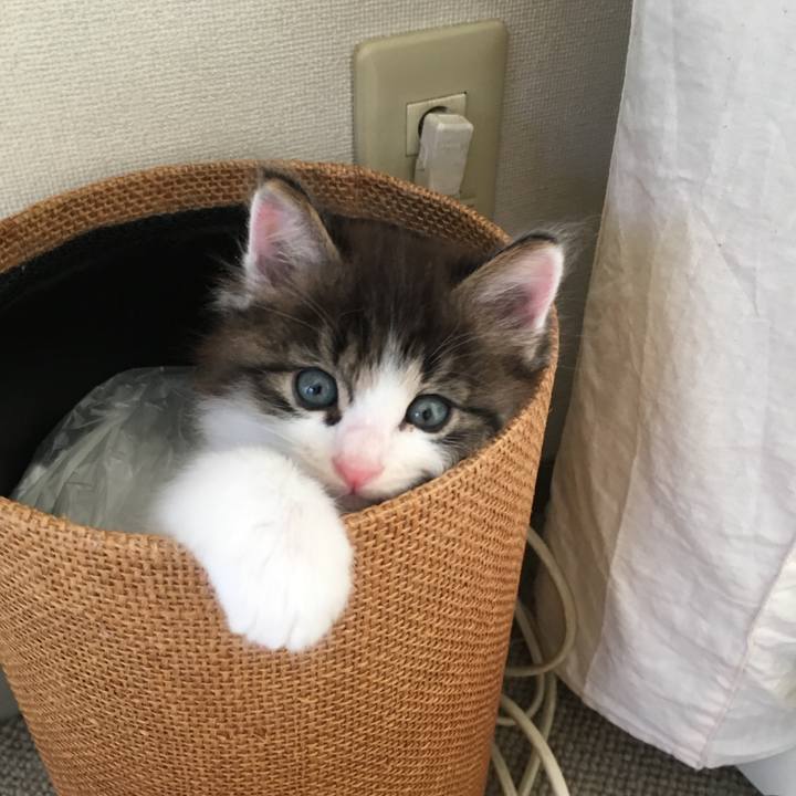 Bdd5f712 bc95 4b9a 8ff1 9e905b2466eb