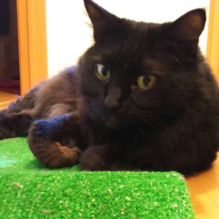 Bdd611eb dab0 4b1c 9093 d4447ff4fbbb