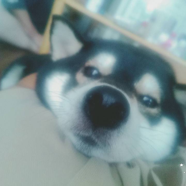 Bdd63cb9 ff9b 4fce 9b32 0c099565456f