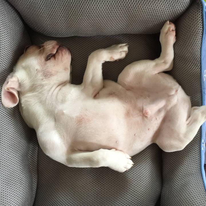 Bdd67b6d 434e 475e 9928 4de920adadc8