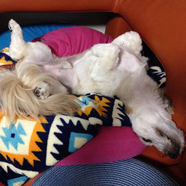 Bdd85fa6 e14f 4be1 a93a f59f440e08f6