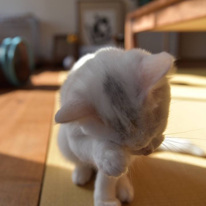 Bdd8cfe0 38e9 4978 8c6d dfd9bf841f72