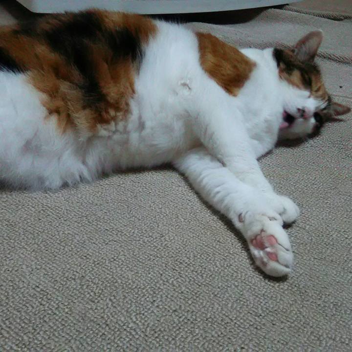 Bdd8f7b2 0a2c 4f23 b3b1 19e2fd921c0f