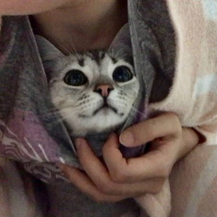 Bdd9bf8b 4727 4bb2 910b 11c3afc2b57b