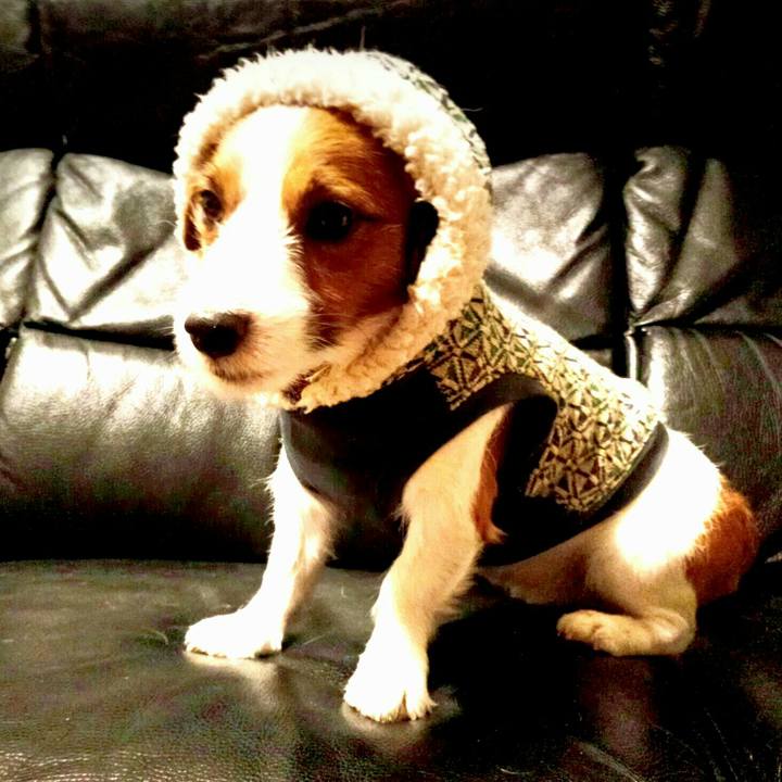 Bdd9e385 b482 4f25 8cff 57cbad95b857