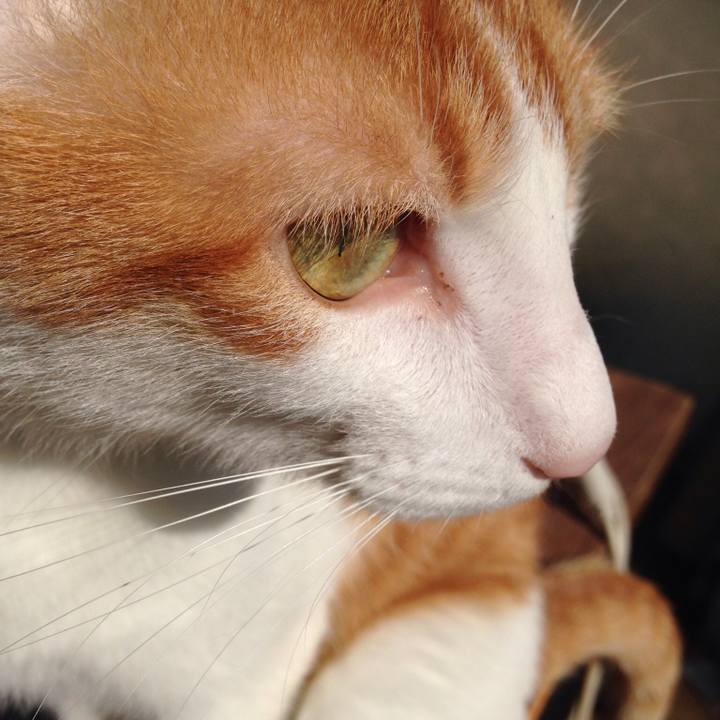 Bdda0e4f 87ec 466e 80ab 0f79045a8c72