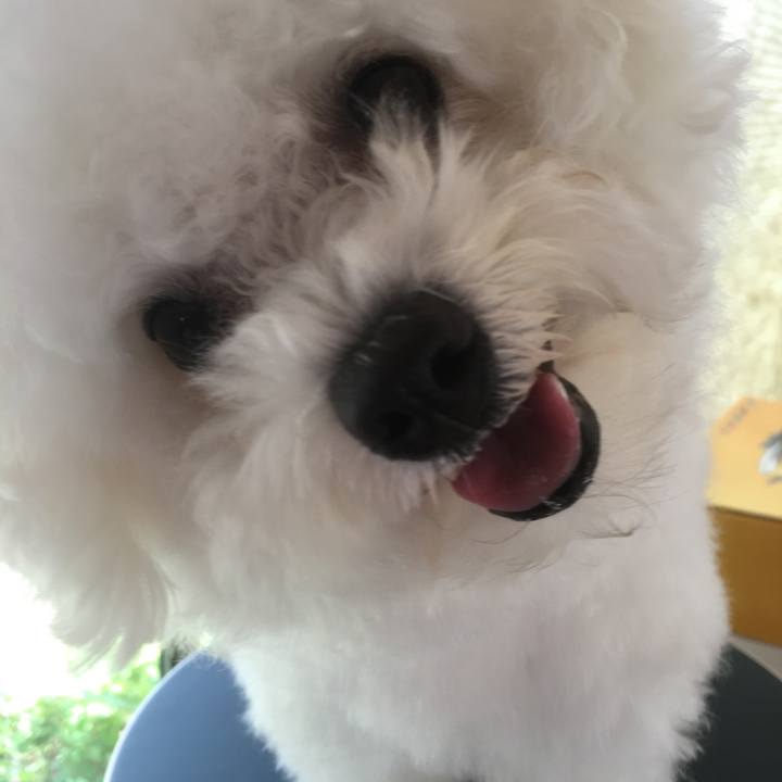 Bdda24c9 f7e6 4b8b a5ad 412feb945e57