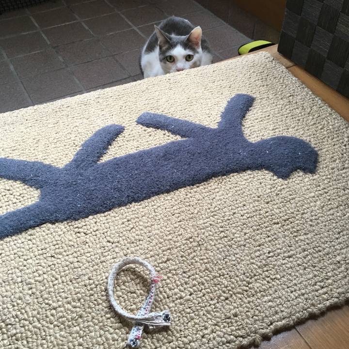 Bdda57b8 d996 49bb 9ab9 45f8d2560223