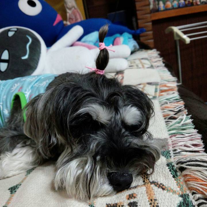 Bdda98ff bb01 4f4e 82f1 78931e8cd090