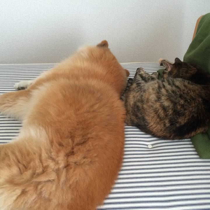 Bddb4d1d b876 440b 94a1 98d1db0b9f5c