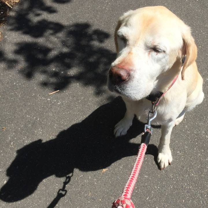 Bddbd231 a41e 4b11 bd79 df18a1a51f72