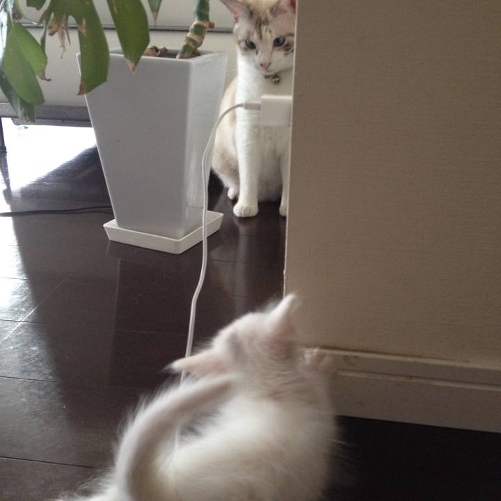 Bddbfa46 5a34 4f02 ae2a 4e036297674e