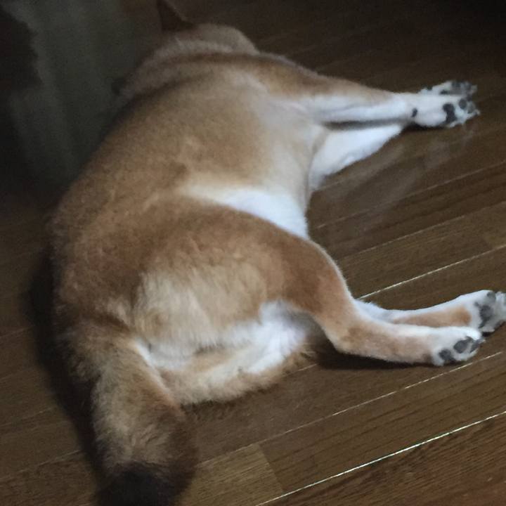 Bdde1b38 416a 4ced b089 f1e9f4d2db1e