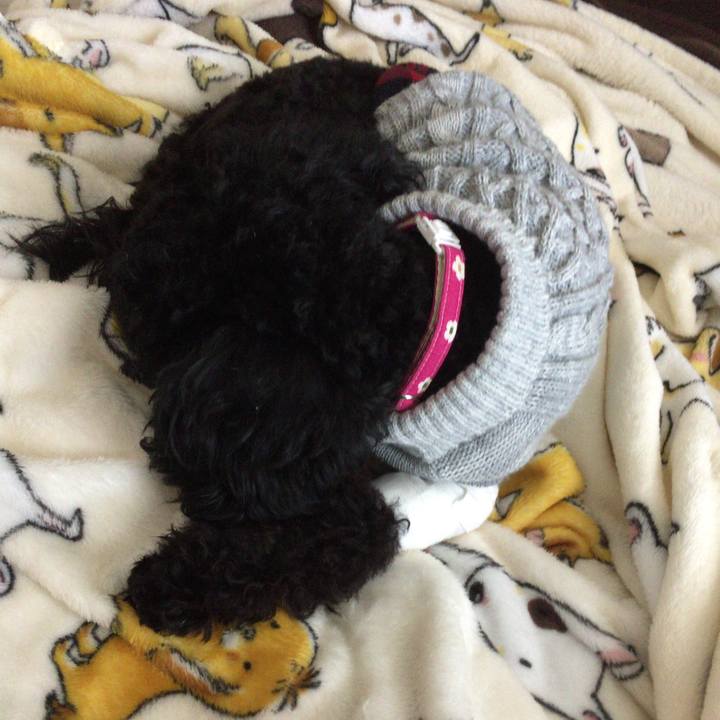 Bdde8384 0baa 4ff8 9fa3 c80b5043f135