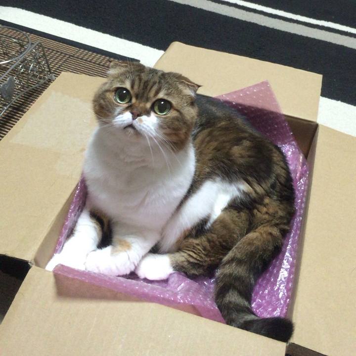 Bdde9c04 22ed 47f2 b867 d16d6b45c133