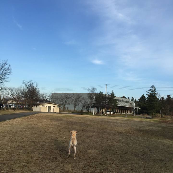 Bddf3f7c 3367 454c bf8d eb53cef0123b