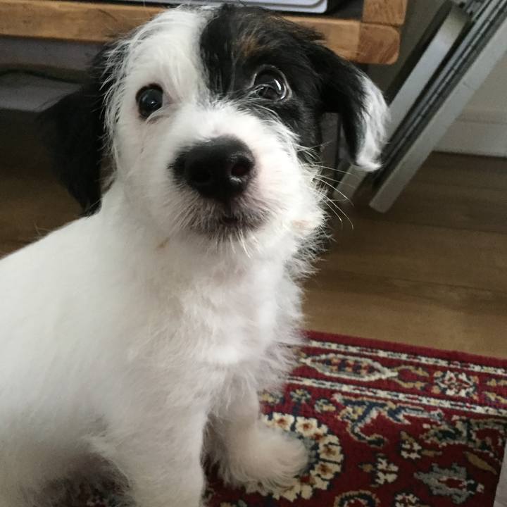 Bddf4f01 dba8 4fc0 b314 0f0923a9c0bd