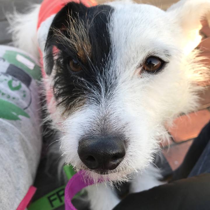 Bde02352 8bcf 4890 b659 79fb115f2890