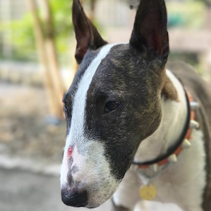 Bde0727b d28c 4d3c 97cf abb7a17541aa