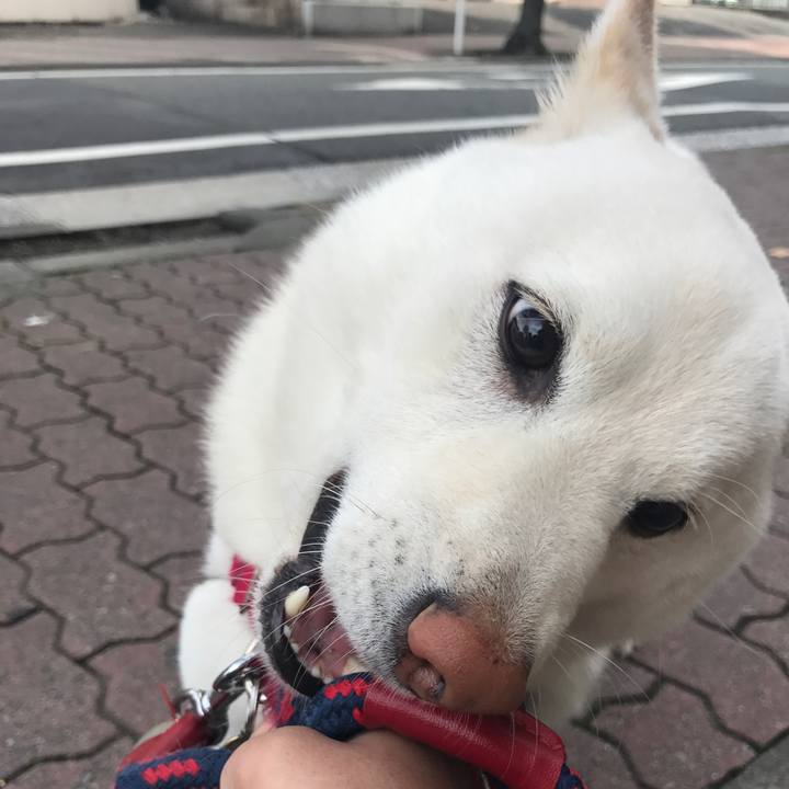 Bde1b17b 5ab0 4770 ab7c 74aeba8d2c46