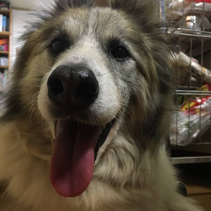 Bde22c32 eb88 4313 8fb7 e7803b71d695