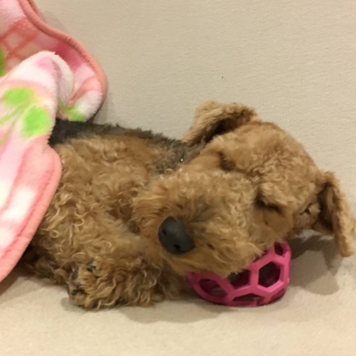 Bde25786 19fd 49fb ab5b 5494002b3ec3