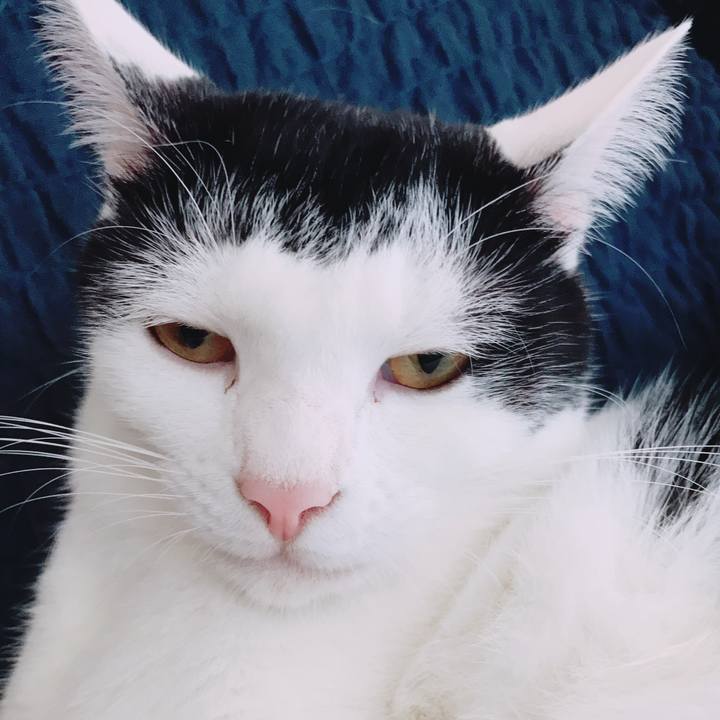 Bde365ef 2e58 47a8 8c7d 4b0c4fd33aca