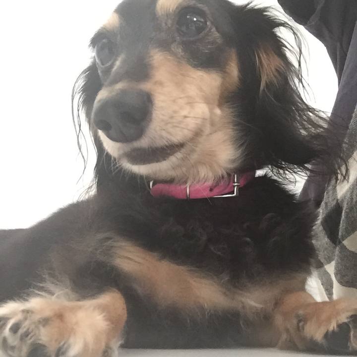 Bde3b182 321d 40b2 ab65 cfee0afed775