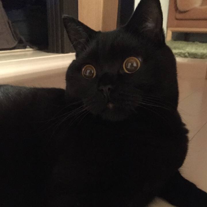 Bde3ef32 a303 449e 8e2f f2330eb3ef6a