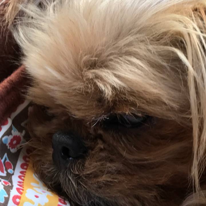 Bde48d32 cb1a 488a ad04 4aacef79fce4