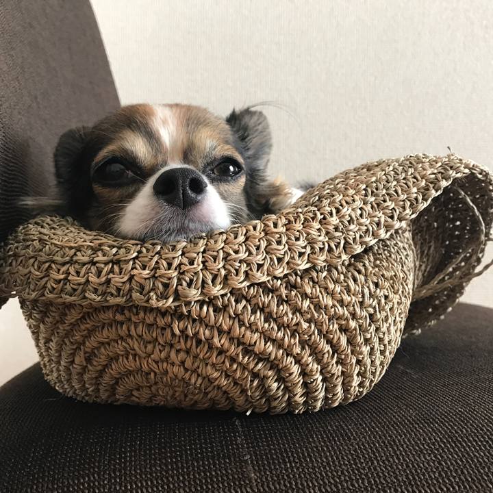 Bde4c73a 66fa 4812 993e 9d3a9fe7ef7e