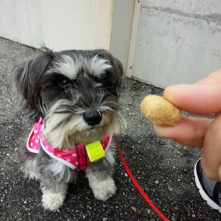 Bde4d920 4154 4a25 8643 28e818c28046