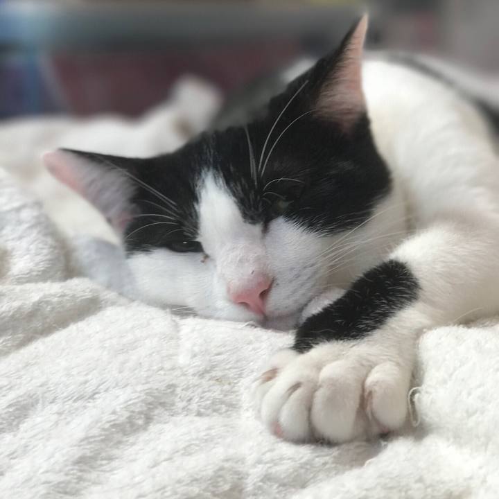 Bde56272 642a 45fa 877d 620c565bf495