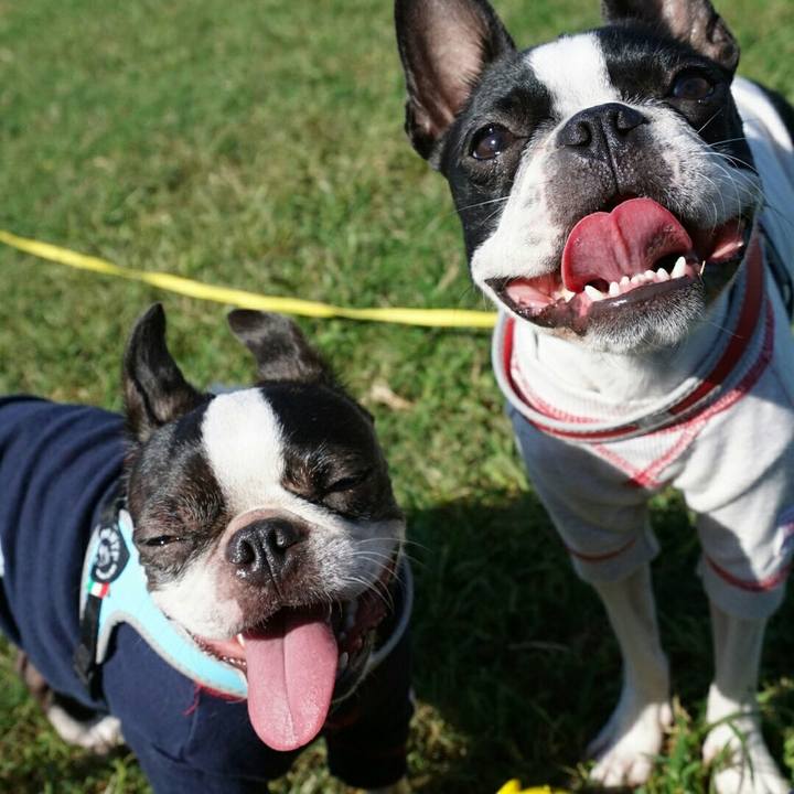 Bde564c1 8e71 4f64 98e4 36663e9783b1