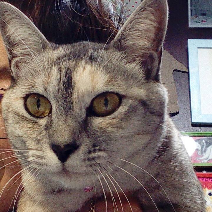 Bde6e20a 8509 4981 acaf aa4757546a46