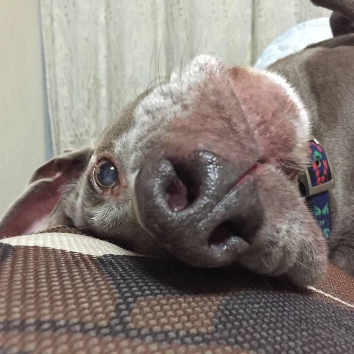 Bde6e502 7af1 4bdb 8065 3085d6f699af