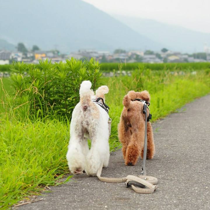 Bde72470 defb 42f6 8e3b 393a0eaac34d