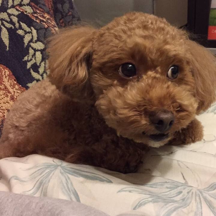 Bde82048 856d 408f 8180 20ca82db71c0