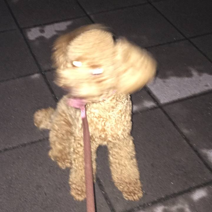 Bde90a85 eee7 43c7 b53c 4be57d5d4d28