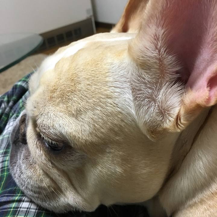 Bde990fc 087c 4f11 8932 a5bd1cf0551c