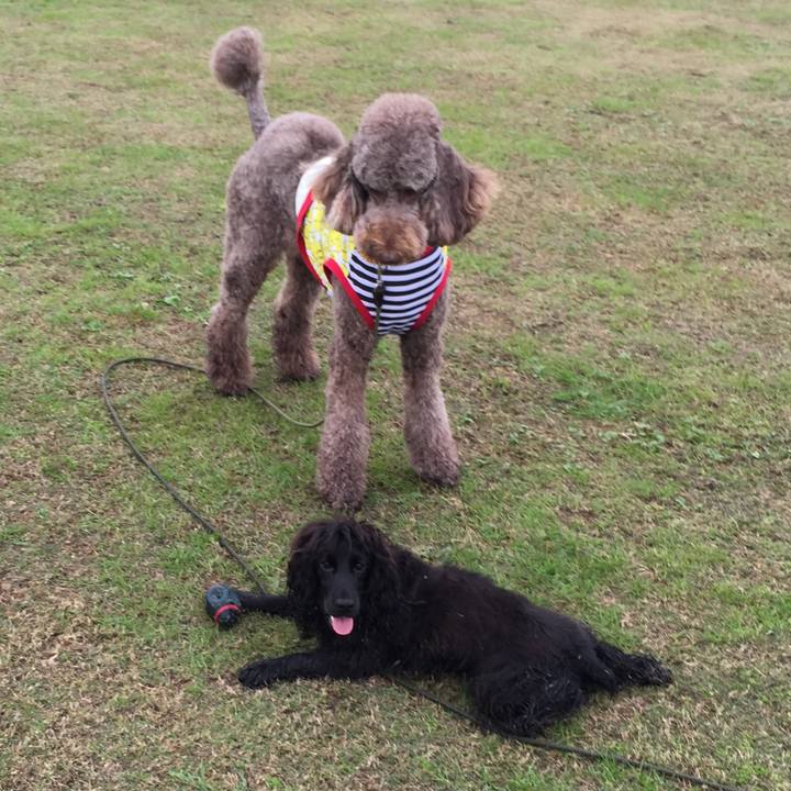 Bde9d785 78d8 4d2a a1da ac0b37482133