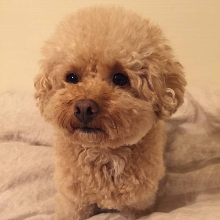 Bdea59ad bcc0 4ac5 b813 691f800334e0