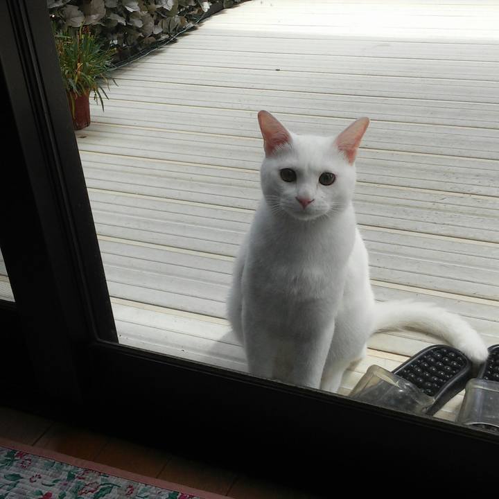 Bdea5fbe 3c30 429f a109 ac0da333b9c6