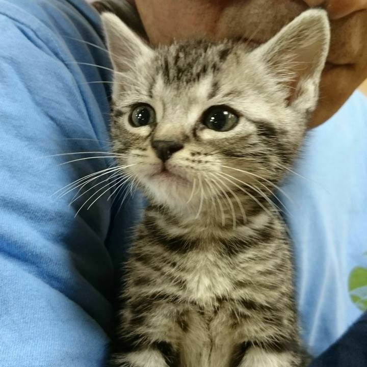 Bdeaf3f3 f035 41c9 8459 10ba5c15100e